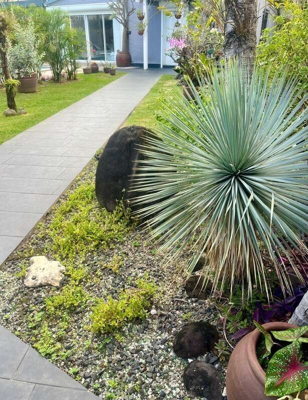 Maison à BAIE-MAHAULT