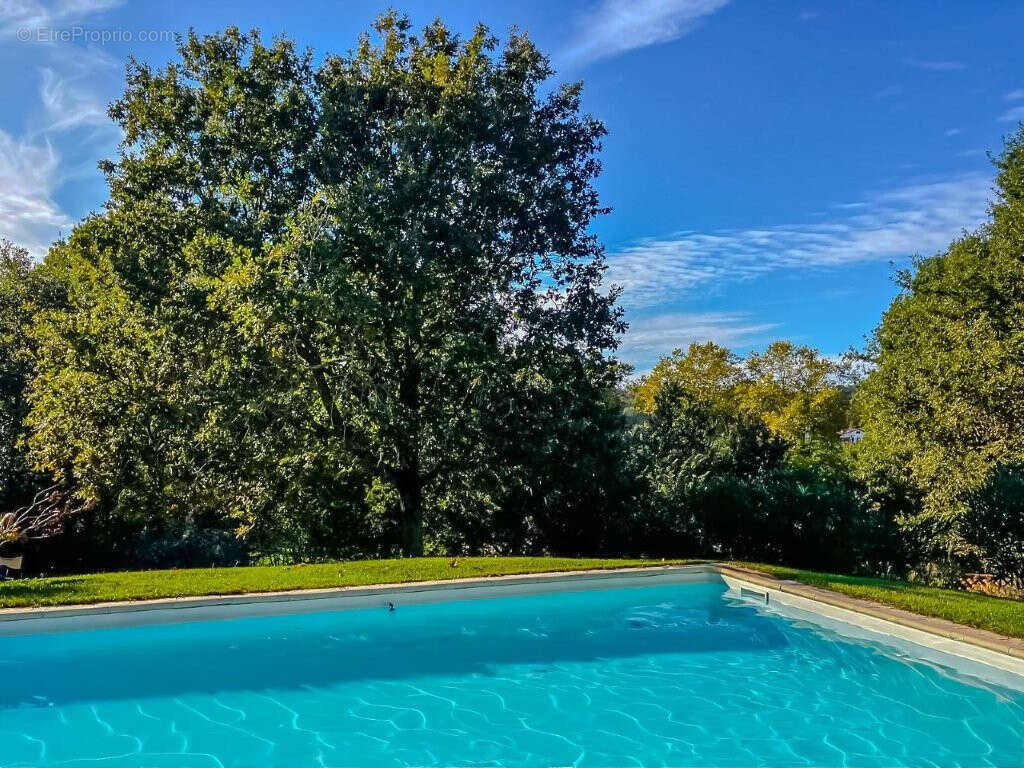 Maison à BASSUSSARRY