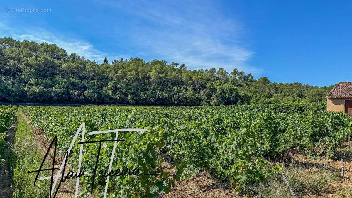 Photo 3 - Terrain à LE THORONET