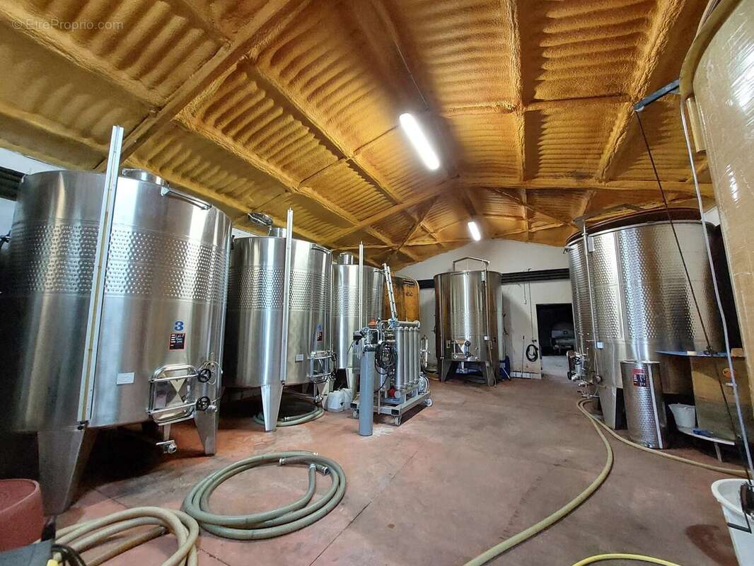 Domaine viticole bio près de Cordes-sur-Ciel - photo 7