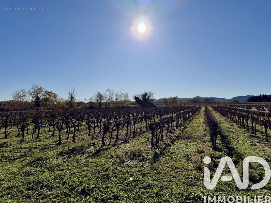 Photo 7 - Terrain à LAUDUN-L'ARDOISE