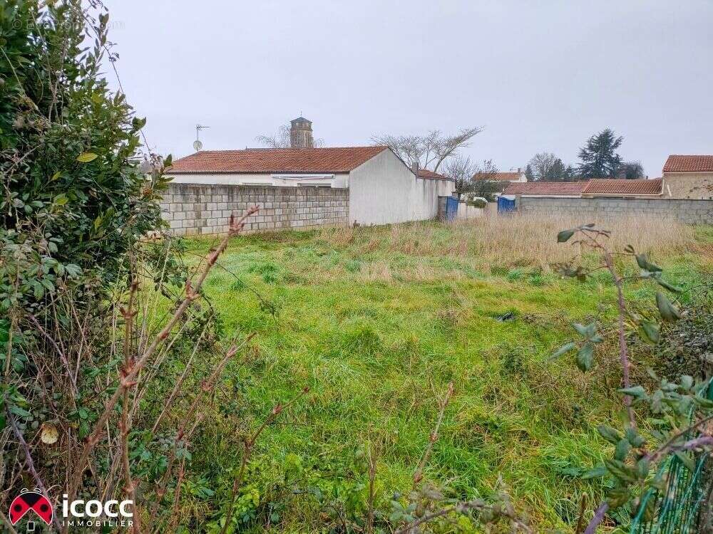 Terrain 560 m² à Sainte-Gemme-La-Plaine  - photo 3