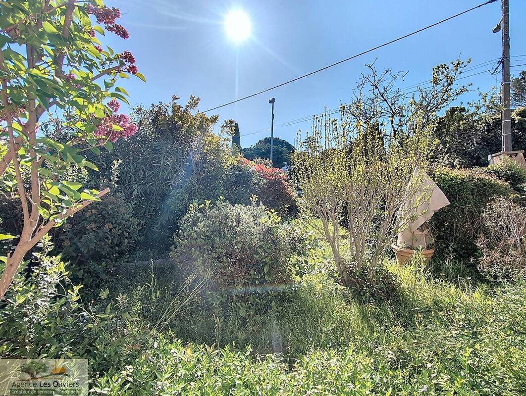 Maison à SAINT-GEORGES-D'ORQUES