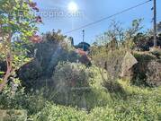 Maison à SAINT-GEORGES-D'ORQUES