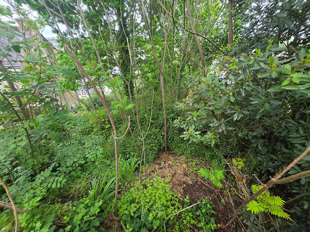 Terrain à vendre à Quimpe - photo 3