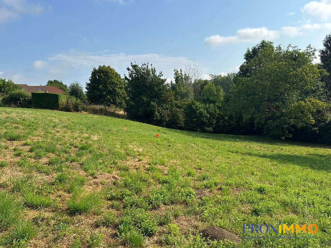 Terrain 769 m² à Saint-Geoire-En-Valdaine  - photo 2