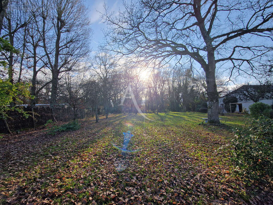 Terrain à BASSE-GOULAINE