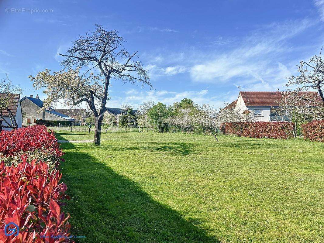 Terrain constructible NOUVEAU PRIX – - photo 2
