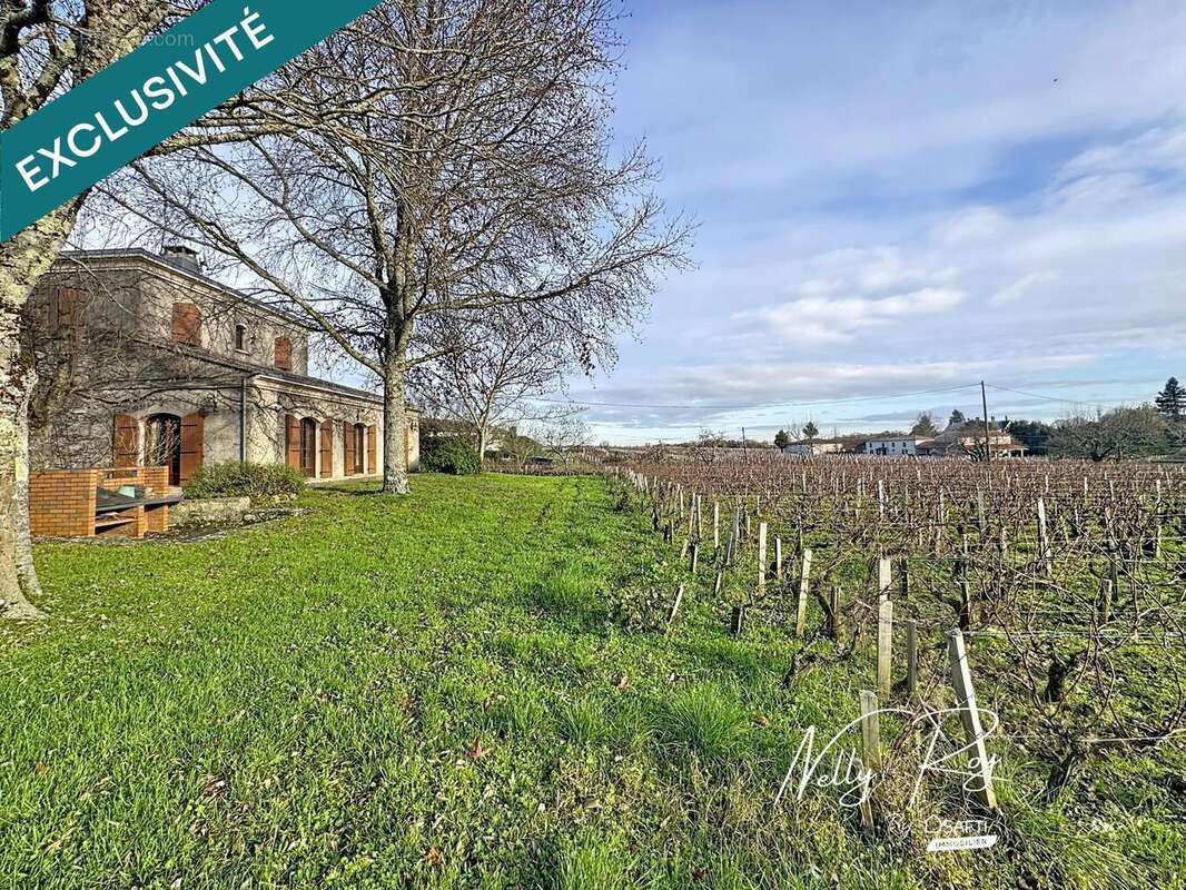 Photo 2 - Maison à SAINT-LAURENT-MEDOC