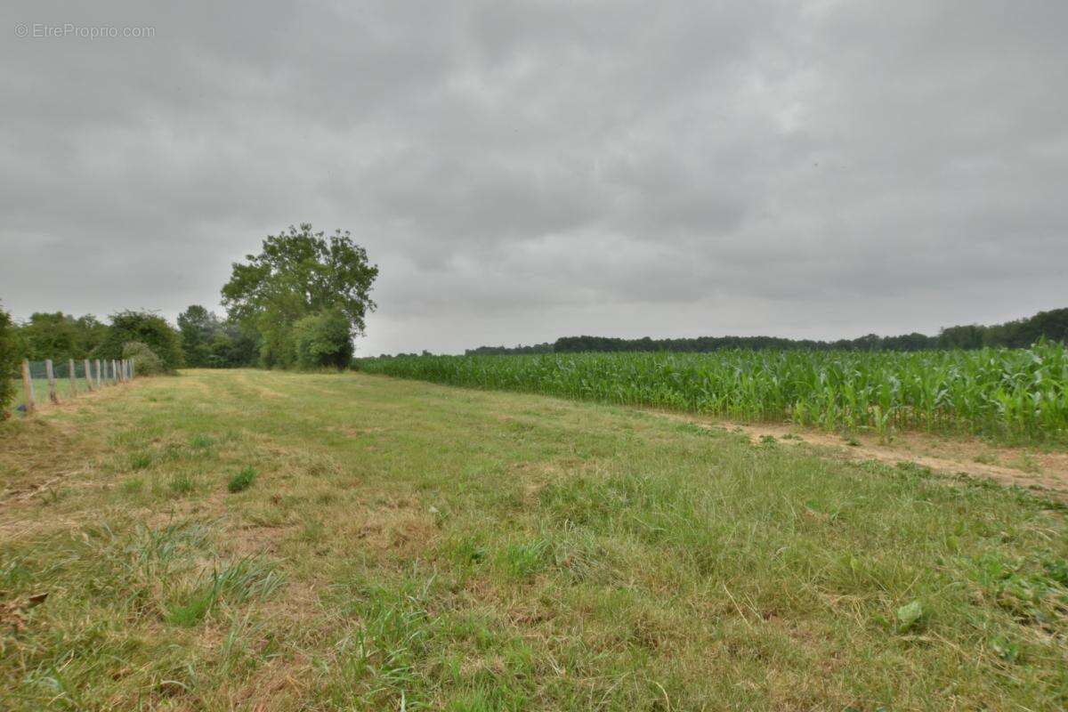 Terrain plat constructible de 5400M² 20MN de BERNAY, 35000€ - photo 5