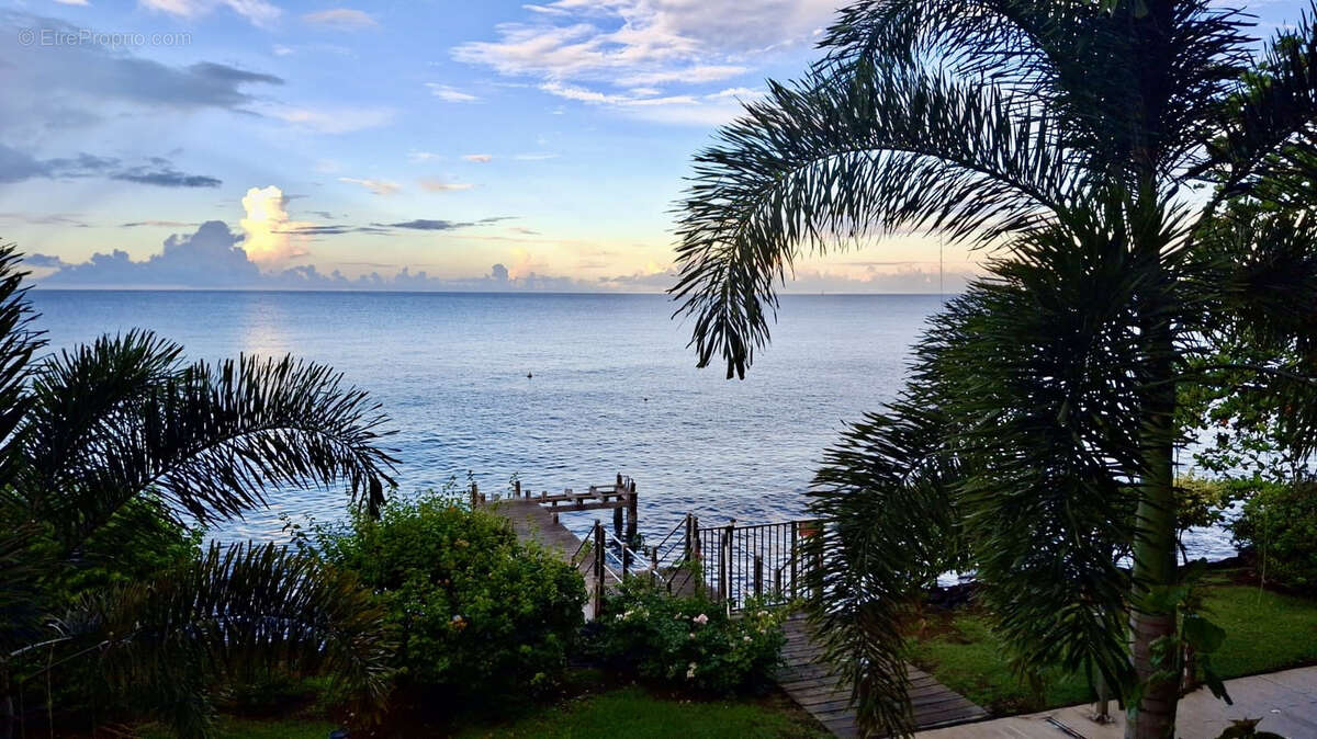 Appartement à SCHOELCHER