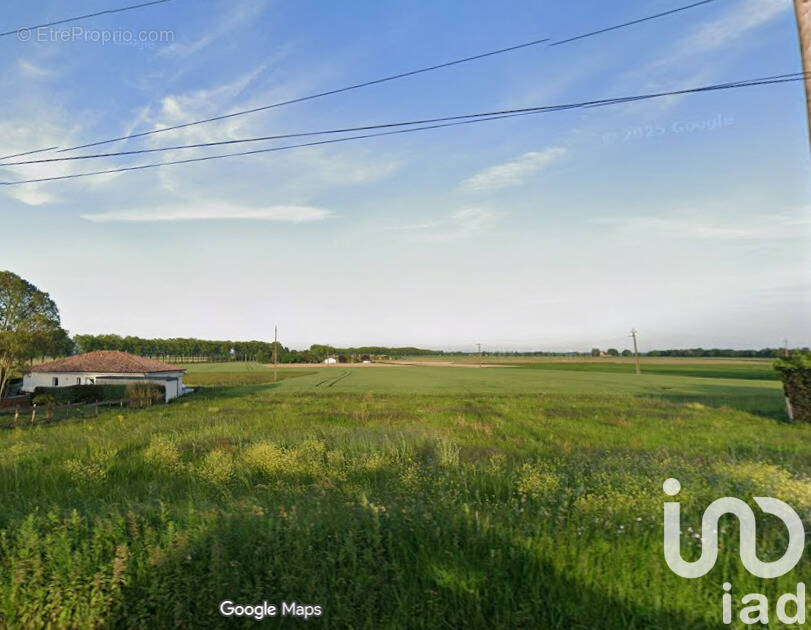 Photo 1 - Terrain à THIL