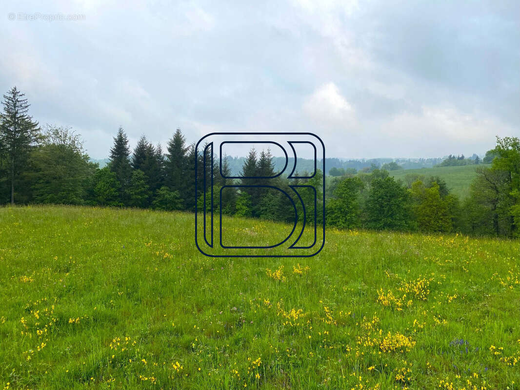 Terrain à VERTOLAYE