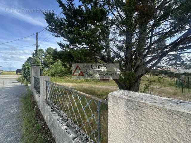 Terrain à SAINT-MEDARD-D'EYRANS