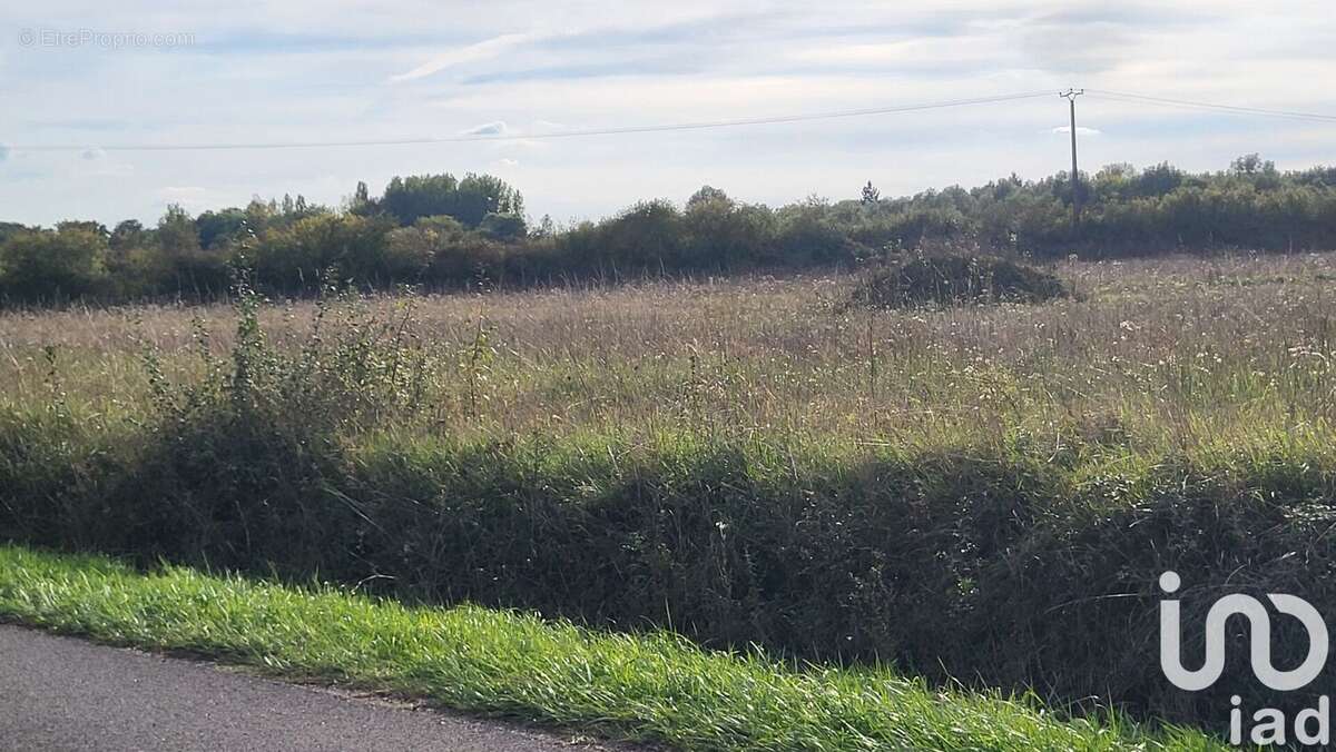 Photo 2 - Terrain à LA COUR-MARIGNY