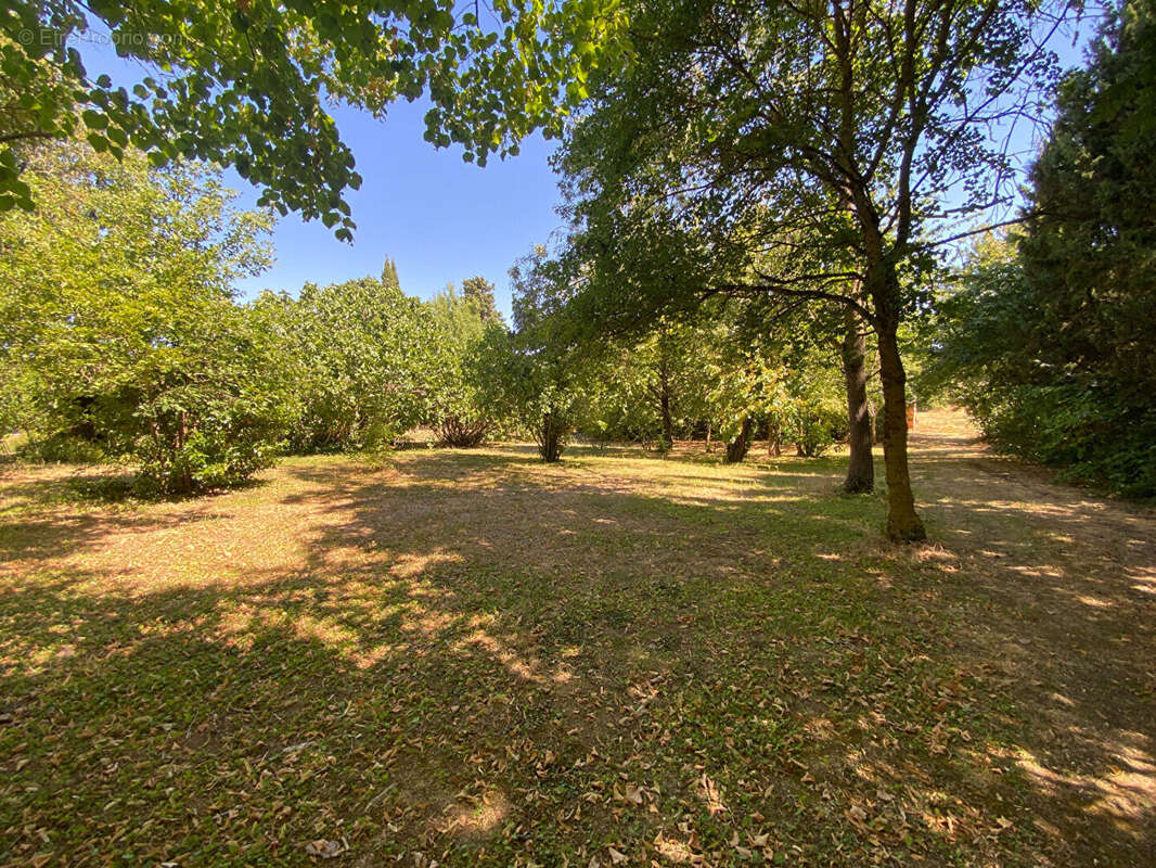 Propriété avec dépendances sur 2,5 ha - photo 18