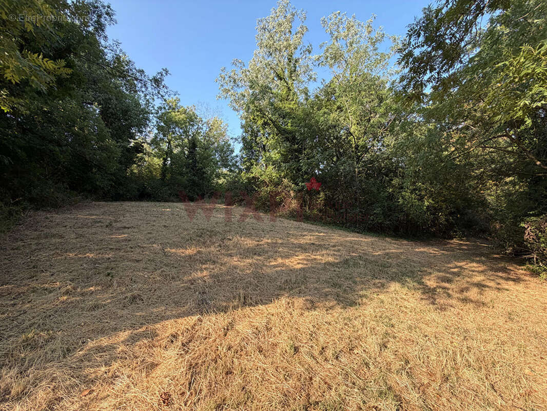 A vendre ferme de 190m² avec terrain de 11000m² - photo 13