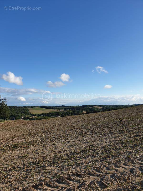 Terrain à MONCLAR-DE-QUERCY