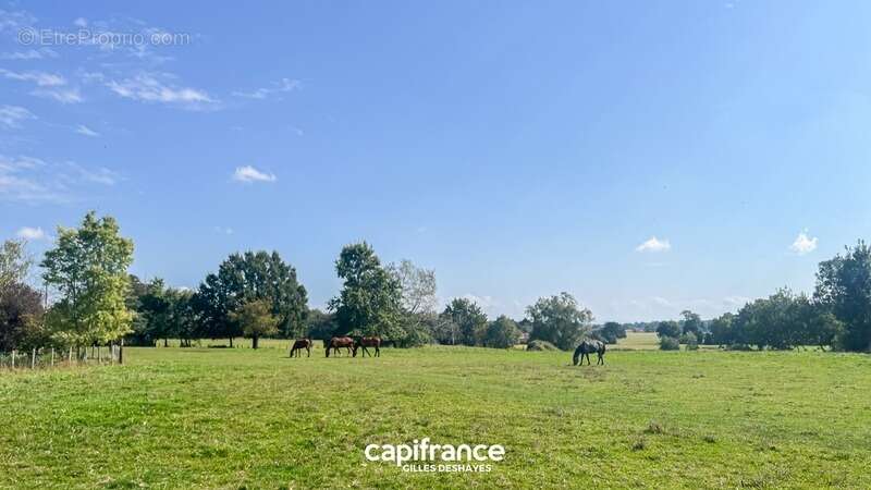 Maison à CHATILLON-SUR-CHALARONNE