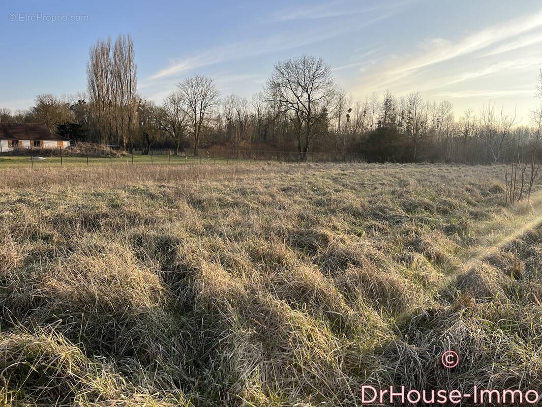 Terrain à SAINT-BENOIT-SUR-SEINE