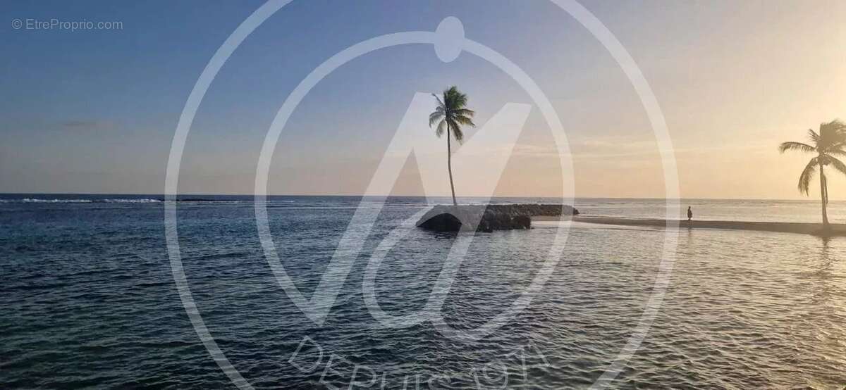 Appartement à SAINTE-ANNE