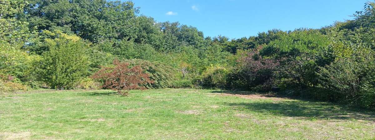 Maison à CEAUX-EN-COUHE