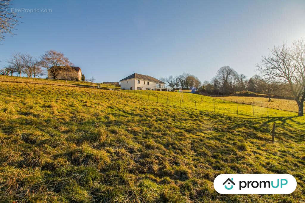 Terrain à SAINTE-FORTUNADE