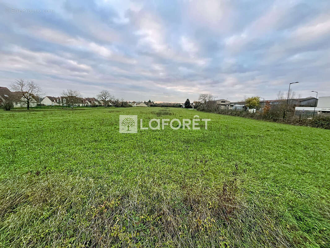 Terrain à FRIGNICOURT