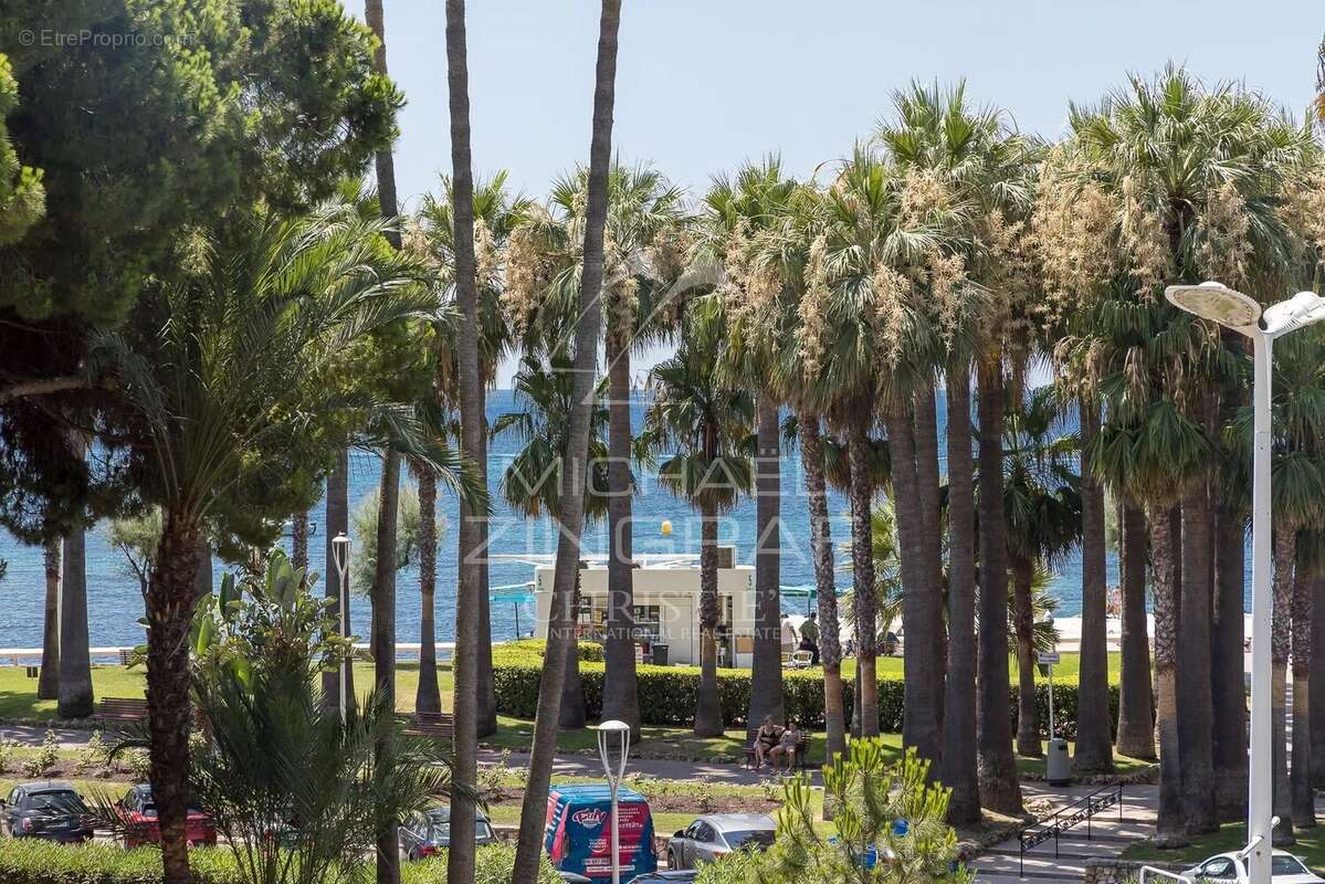 Cannes – Croisette – 2 pièces à rafraîchir avec terrasse face à la mer - photo 2