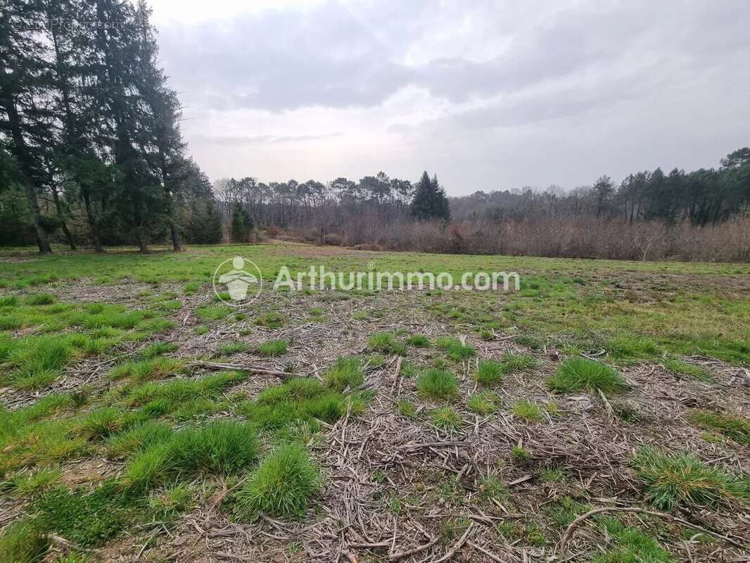 Terrain à batir de 7900 m² - photo 4