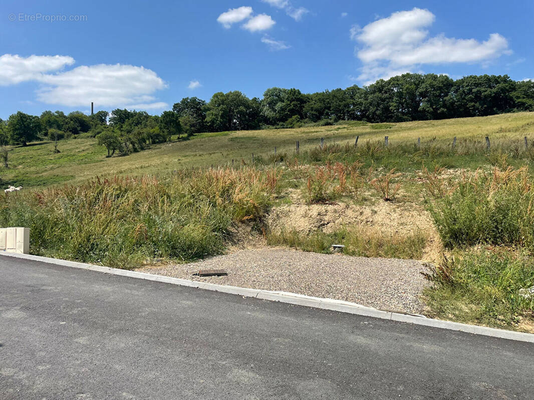 Terrain à THIONVILLE