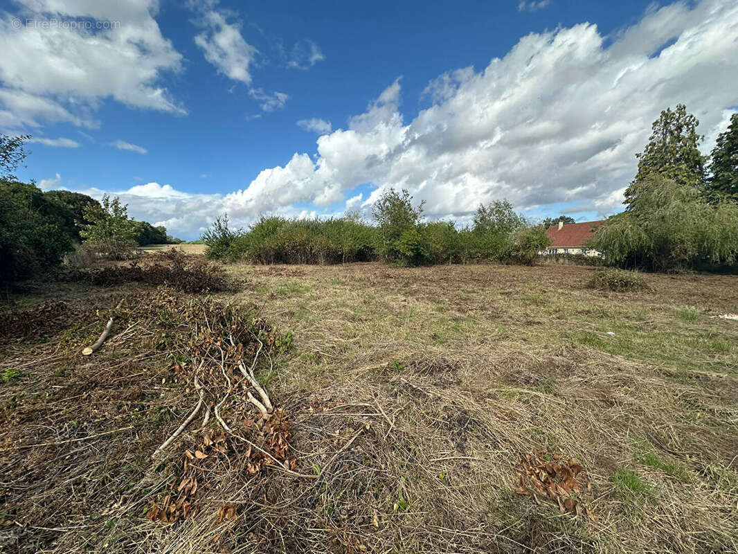 Terrain à MENNESSIS