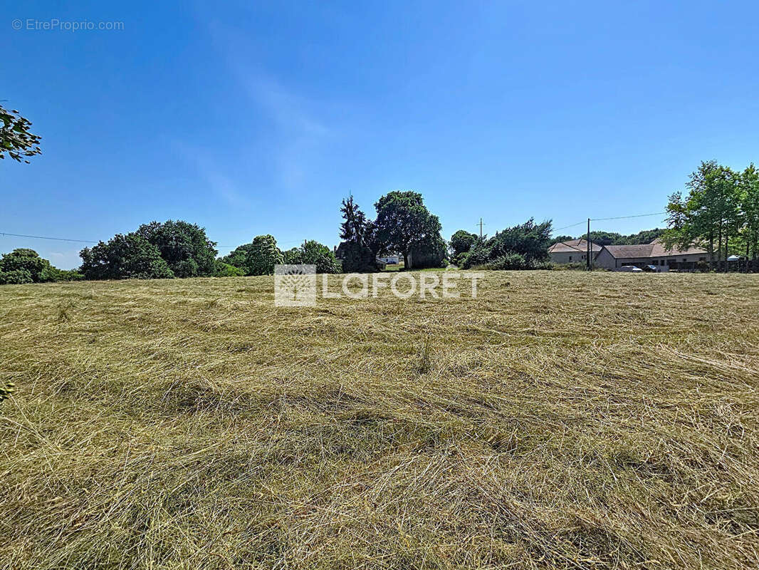 Terrain à ARTHEZ-DE-BEARN