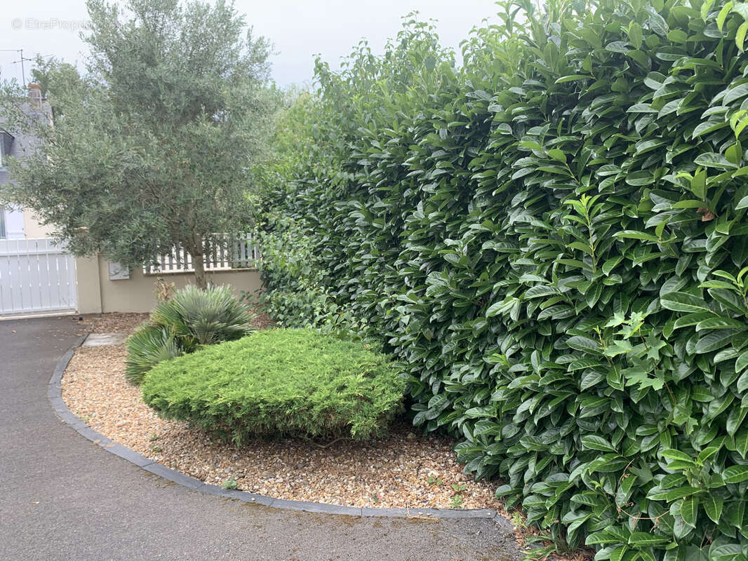 Amboise maison 5 Pièces de 132 M2  sur une parcelle de 625 M2 - photo 4