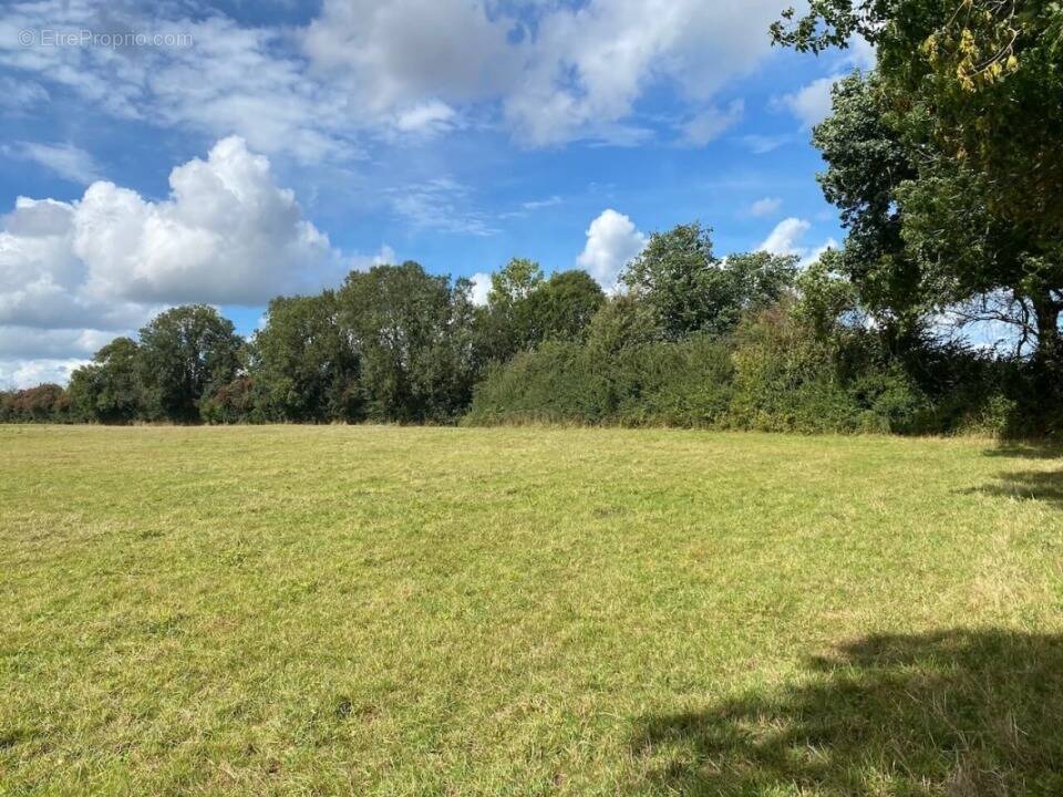 Terrain à VAUCELLES