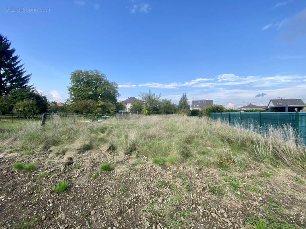 Terrain à ROESCHWOOG
