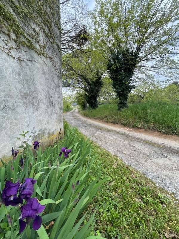 Maison à SAINT-CHRISTOL-LES-ALES