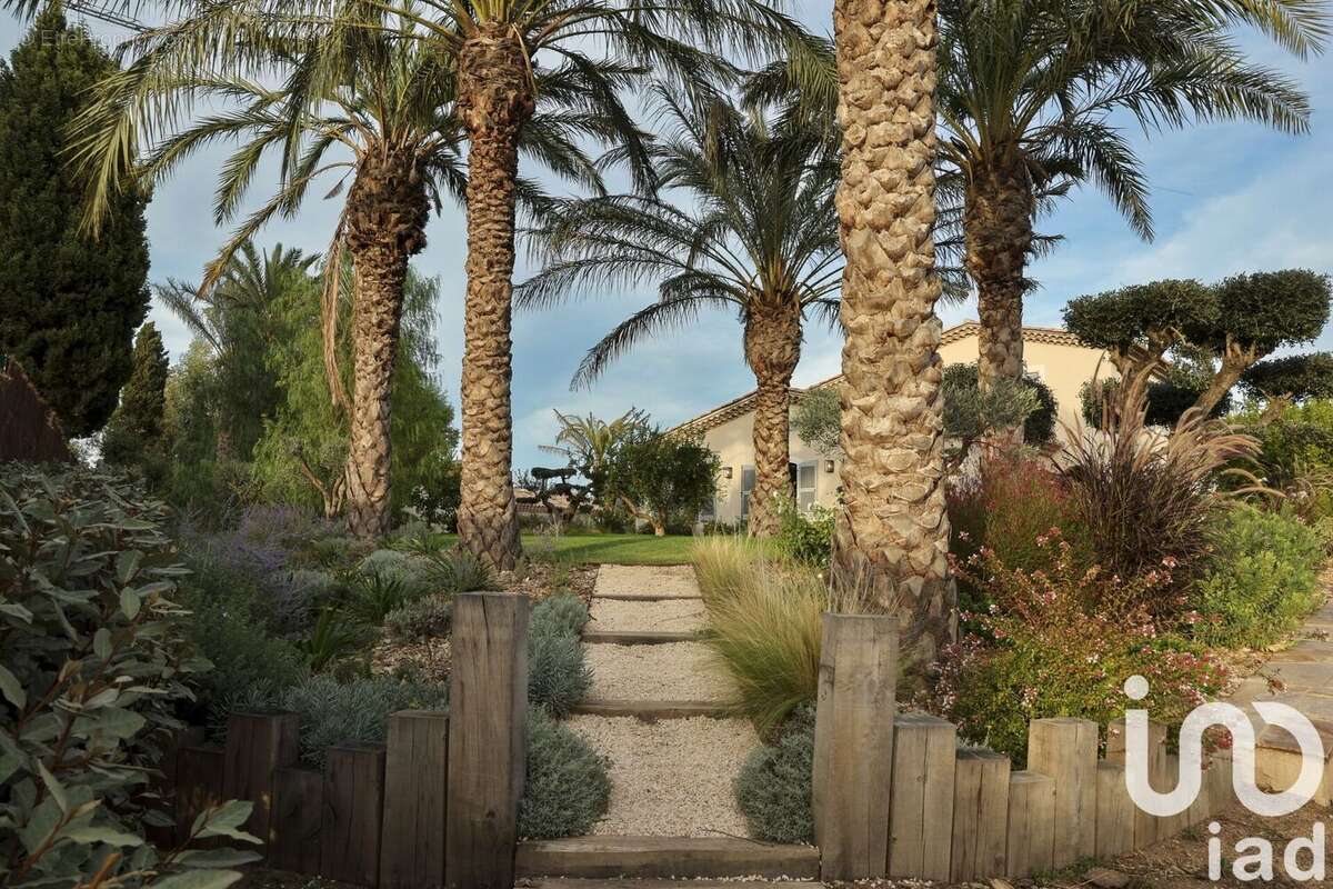 Photo 5 - Maison à SAINT-TROPEZ