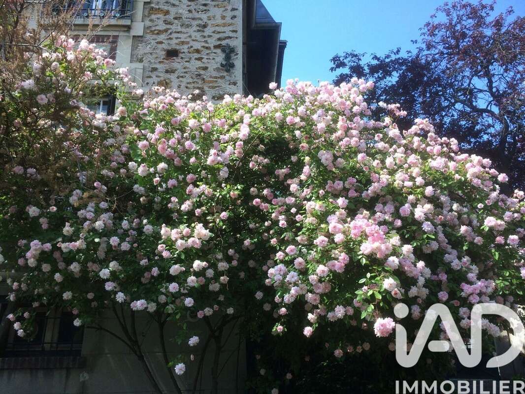 Photo 3 - Maison à VILLIERS-SUR-MARNE