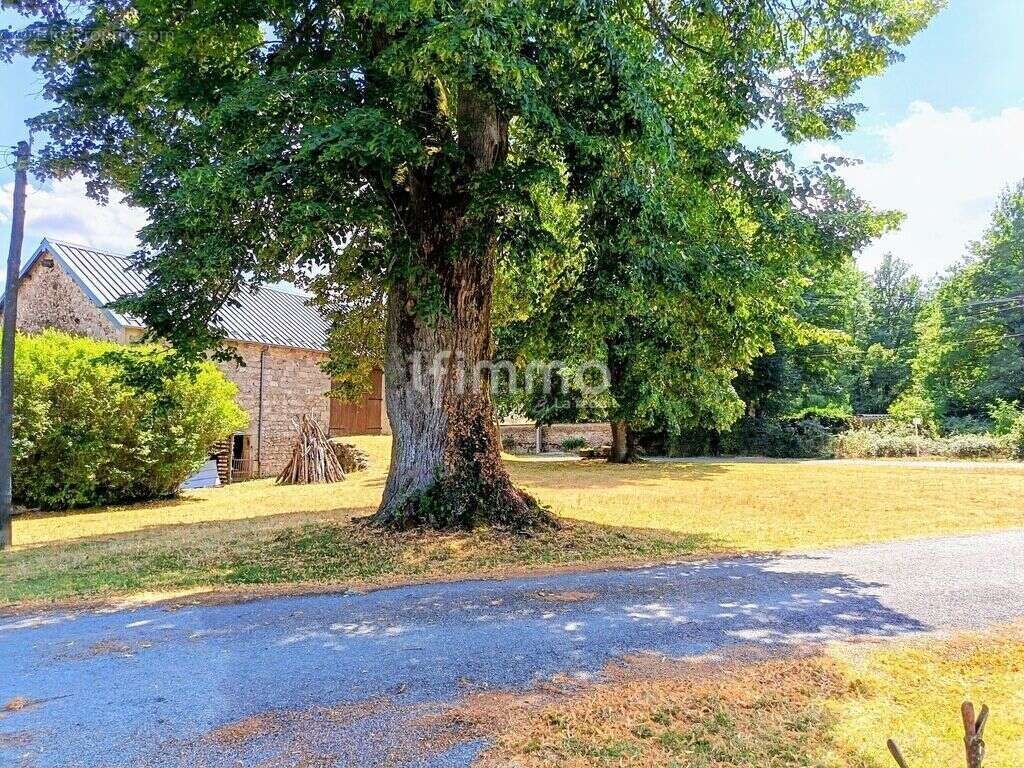 Maison fin 19e en pierres - photo 2