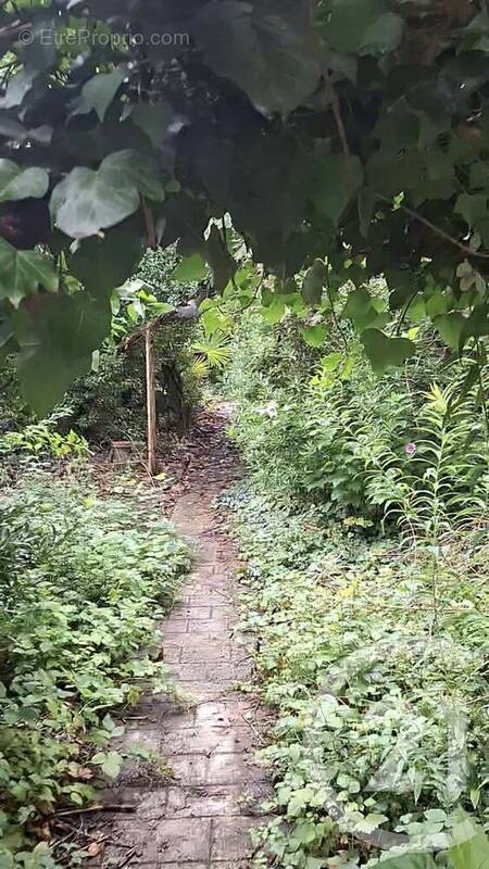 Photo 1 - Maison à VALENTON