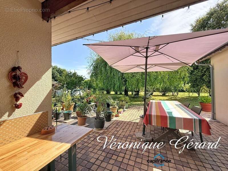 Maison Plain-Pied de 173 M² 6 chambres sur plus de 3000 m² de terrain - photo 22