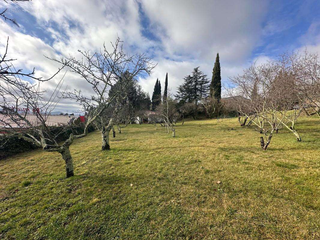 Terrain À Vendre - photo 4