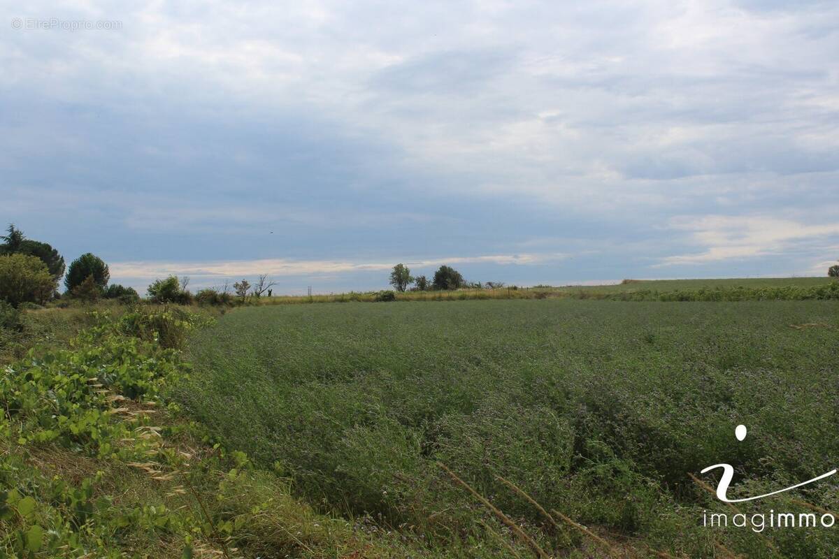 Terrain à SAUSSAN