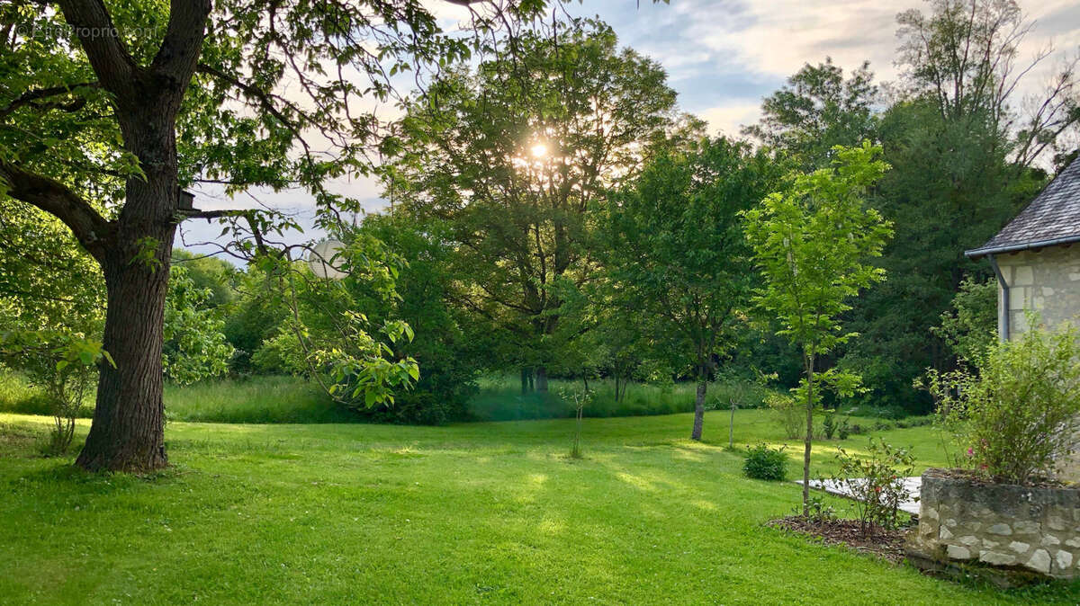 Maison à LE PETIT-PRESSIGNY