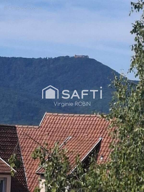 Photo 6 - Appartement à OBERNAI