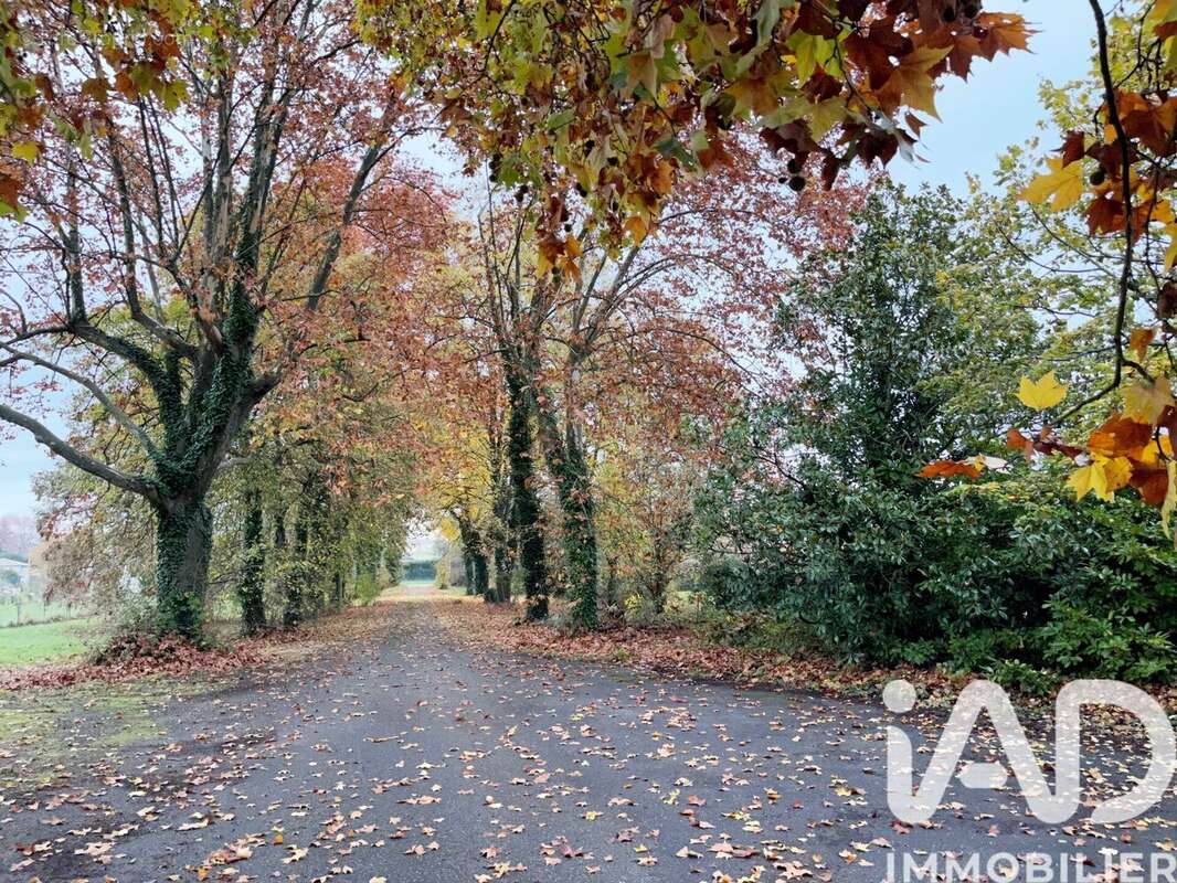 Photo 9 - Maison à CASTELSARRASIN