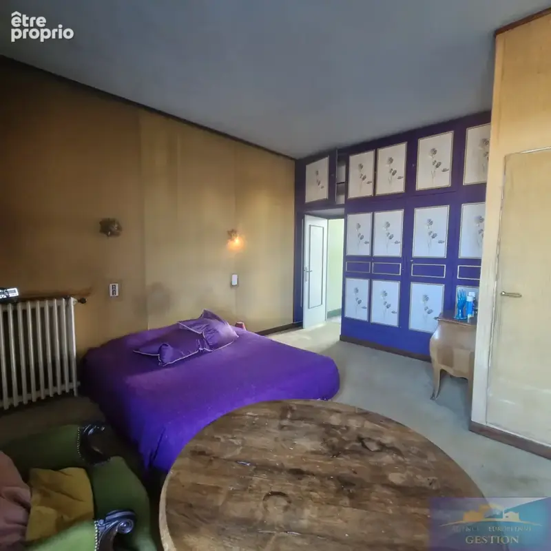 LOURDES COEUR DE VILLE, maison de type hôtel particulier de 276m2 habitables. - photo 5