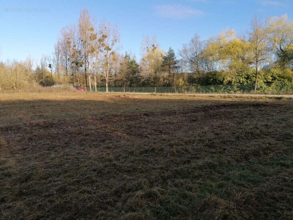 Terrain à SAINT-BENOIT-SUR-LOIRE