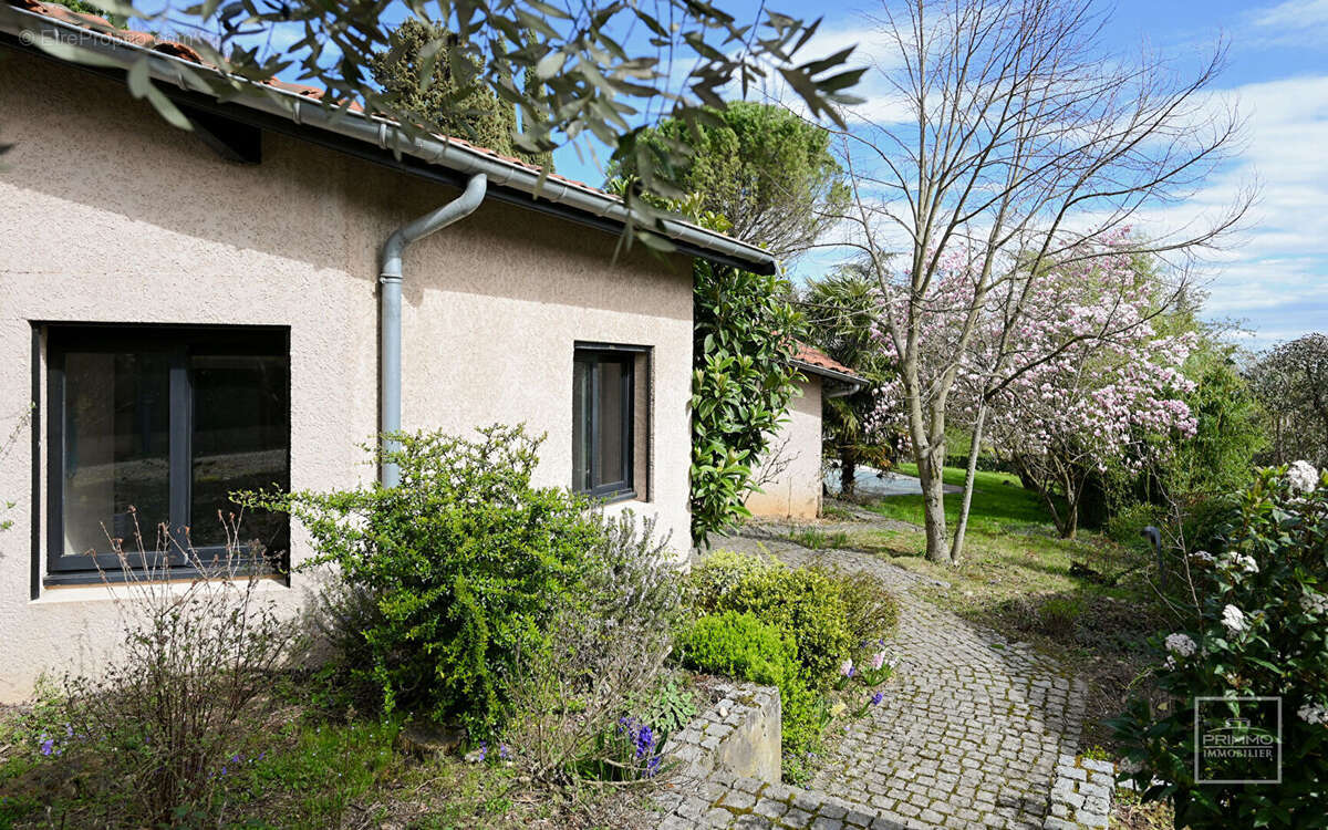 Saint Cyr au Mont d'Or, 12mn à pied du Village, Maison d'environ 230m² sur 1 617m² de terrain - photo 2